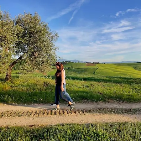 Apartment Mascagni Farmhouse In Val D'orcia Pienza