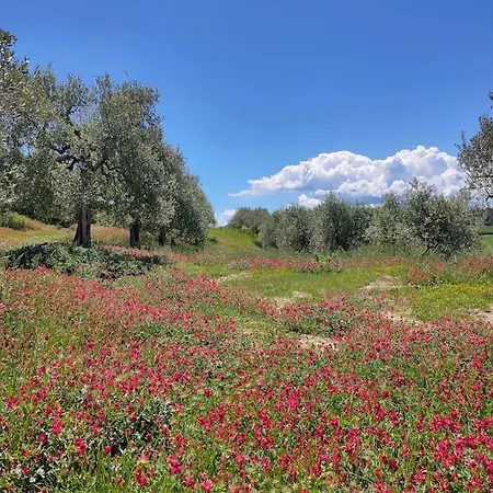 Mascagni Farmhouse In Val D'orcia *