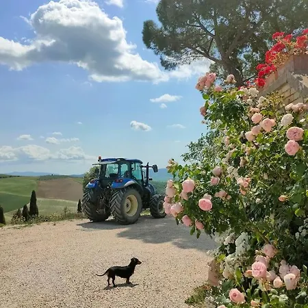 Apartment Mascagni Farmhouse In Val D'orcia *